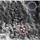 Illustration for article titled Tiny tunnels in meteorite whisper about the history of Mars